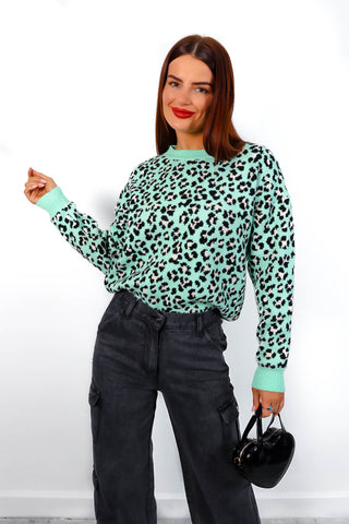 Livin' The Leopard Life - Mint Green Leopard Knitted Jumper