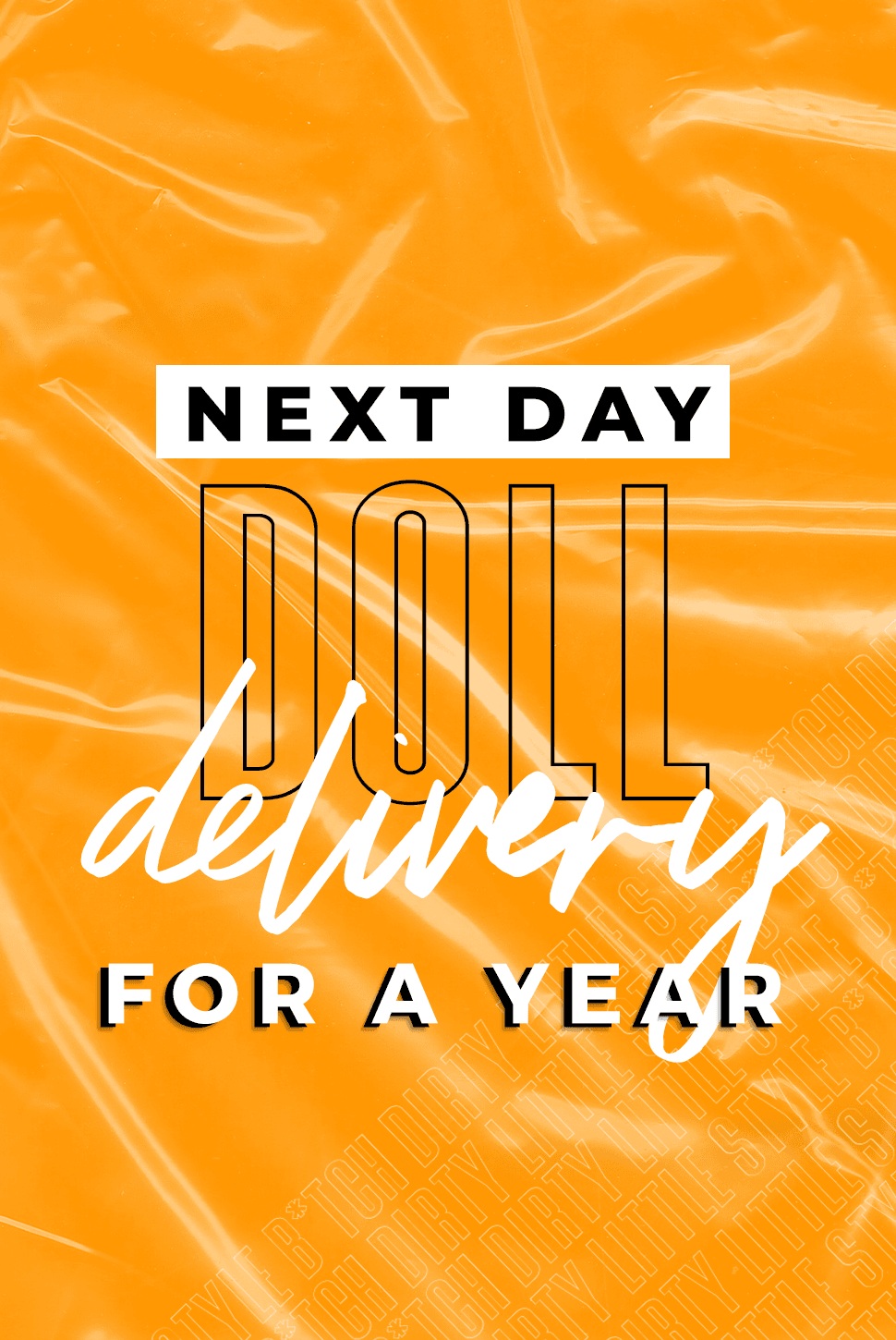 DLSB Doll Delivery - Unlimited Next Day Delivery For 1 Year